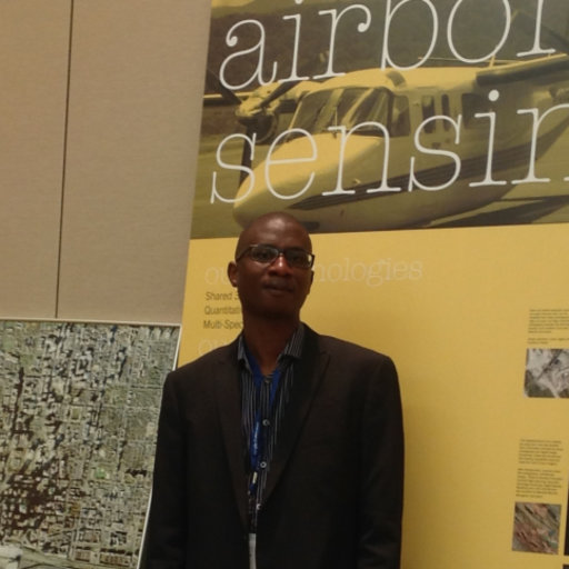 Prof. Dr. Walter Musakwa